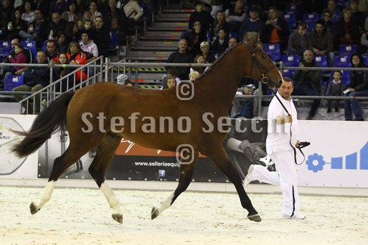 NADA BRAUN_MILANO_2010_SS3_4003.jpg